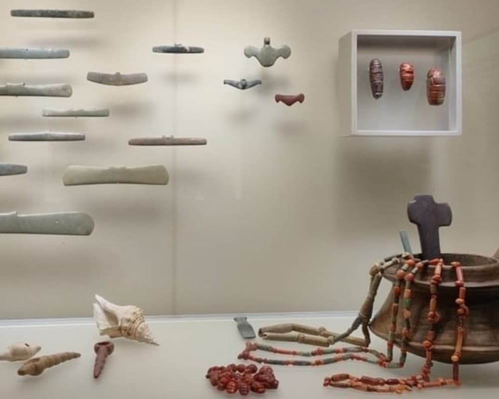 Tour Santa Marta - Imagen 8