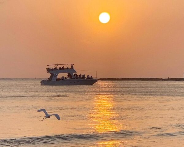 Atardecer Sibarita Express - Imagen 8