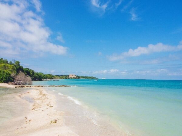 Hotel Isla Palma - Image 15