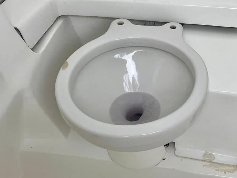 Lancha Sugar Daddy - Image 11