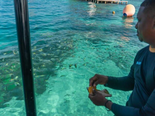 Islas del Rosario