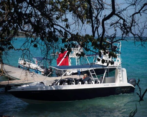 San Pedro Majagua - Imagen 3