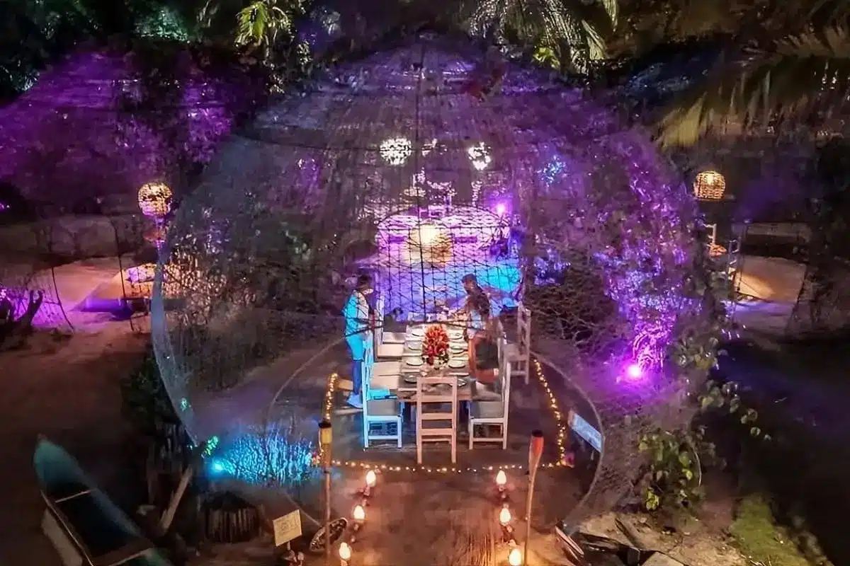 Cena en la Playa en Fénix Beach - Image 11