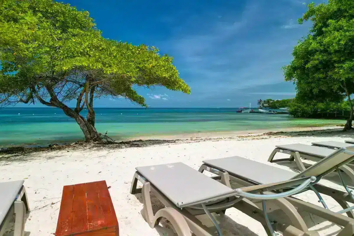 Rosario del Mar - Image 13