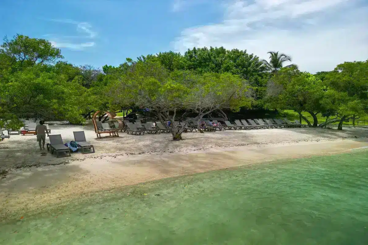 Rosario del Mar - Image 4