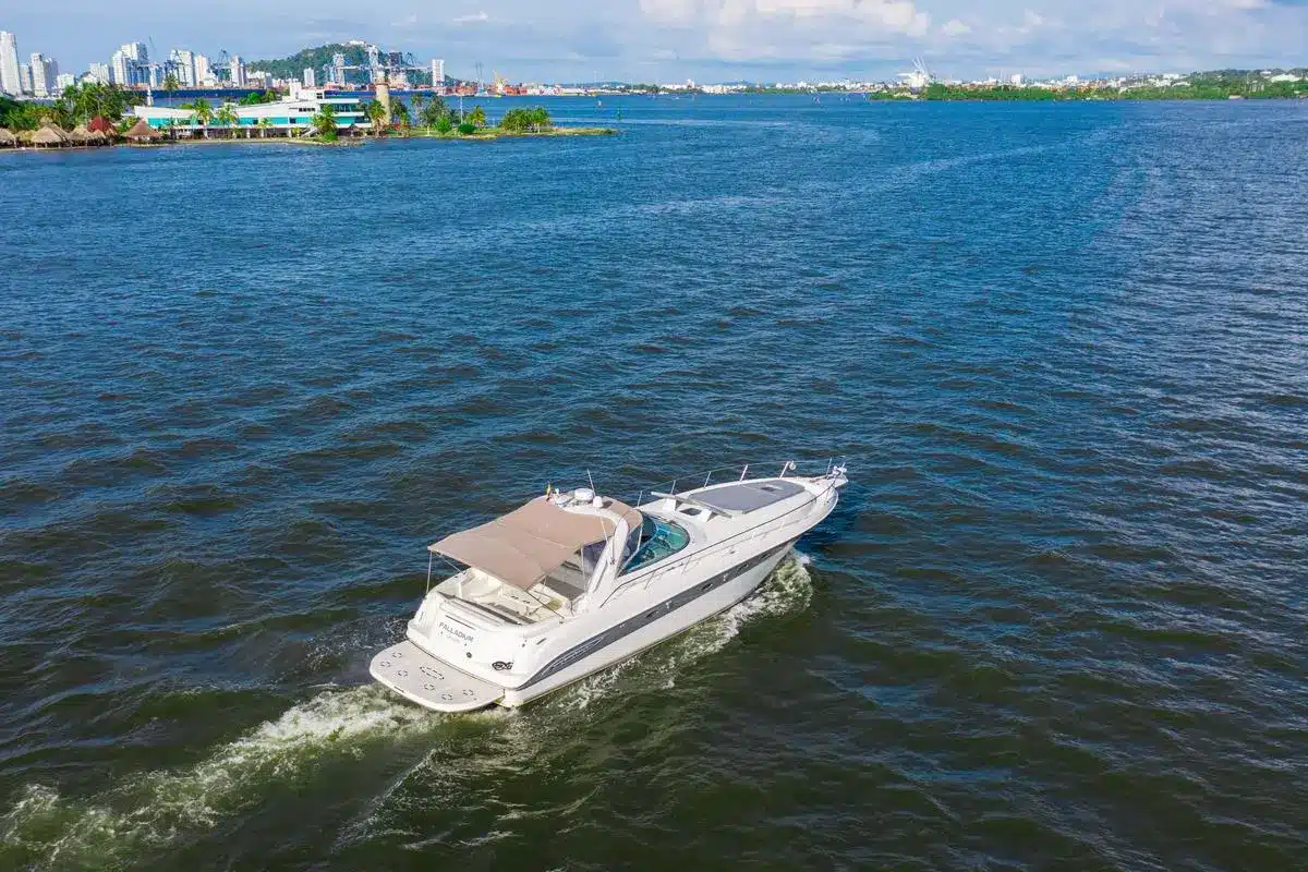 Yate Palladium - Image 4