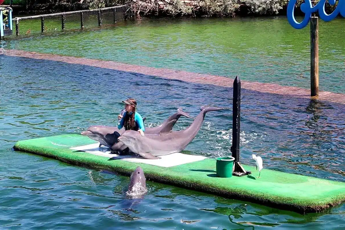 Top Luxury Islas del Rosario - Image 3