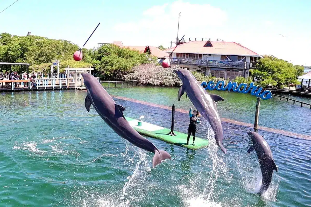 Tour 4 Destinos + Oceanario - Image 4